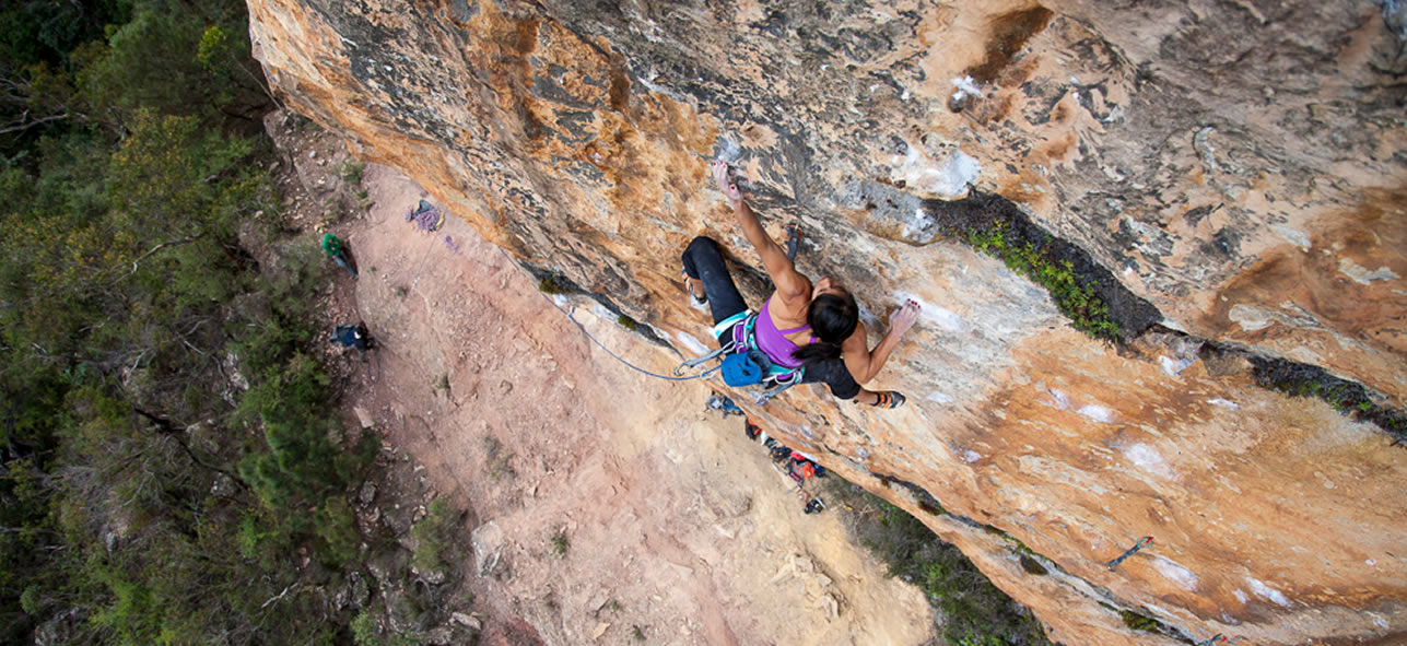 Andrea Hah. Tiger Cat 33 (8c) Australia